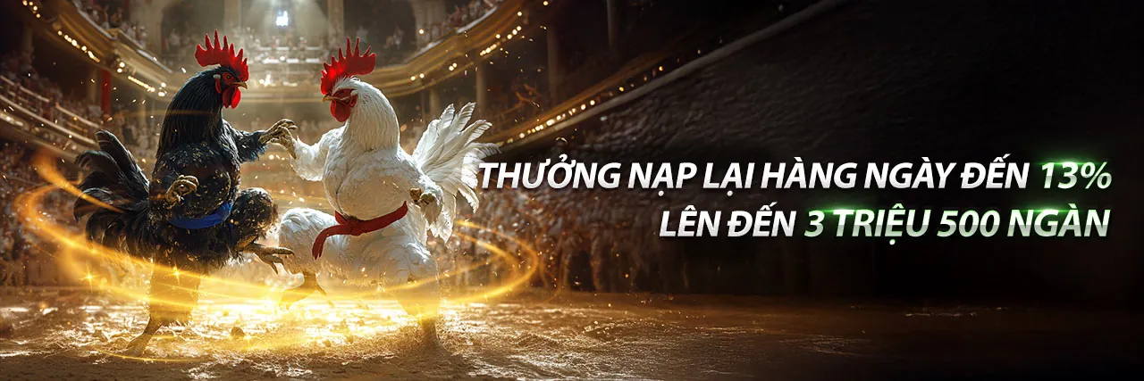 Đá Gà Thomo C3 – Sân chơi cá cược trực tuyến đỉnh cao